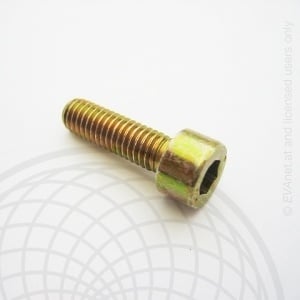 Rotax max crankcase cover bolt M6 x 16