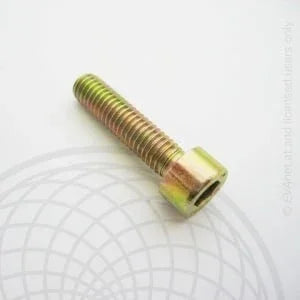 Rotax max power valve bout EVO M5x25