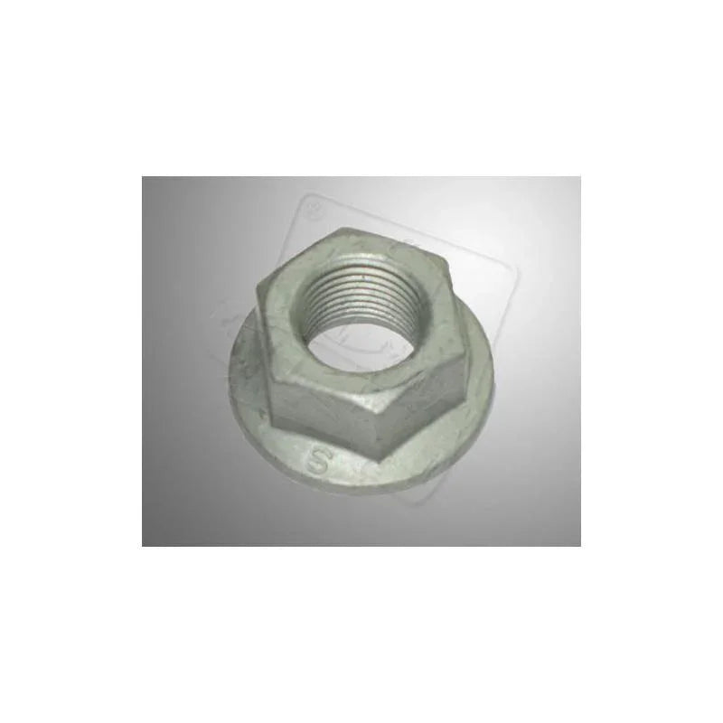 Гайка на маховика Briggs & Stratton WF