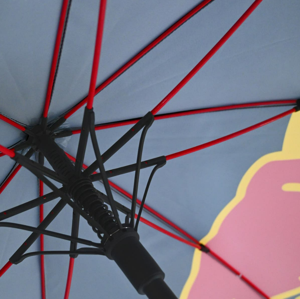 Sparco Red Bull Racing Umbrella