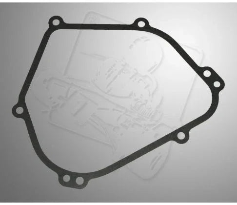 Briggs and Stratton WF carter packing