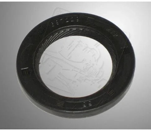 Briggs and Stratton WF kartergyűrű