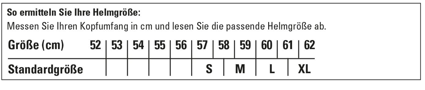 Bell RS7-K anthracite / stamina (FIA 8878-2024 / snell 2020)