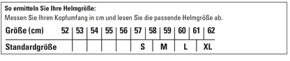 Bell RS7-K anthracite / stamina (FIA 8878-2024 / snell 2020)