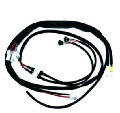 Iame 60CC Wiring Harness