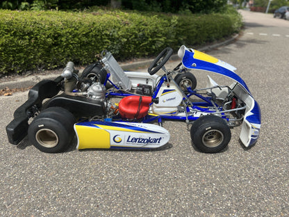 Used LenzoKart with LKE R13 125CC Water-cooled Engine