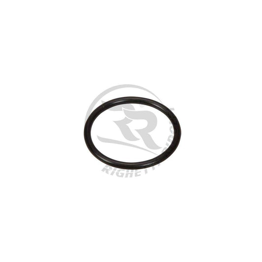 RR air filter elastic