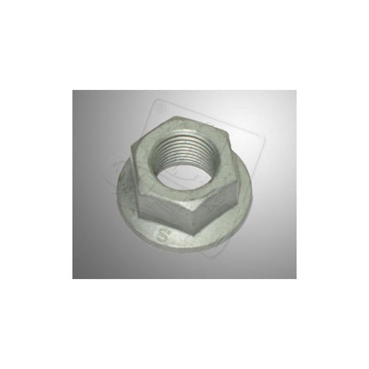 Briggs and Stratton WF flywheel nut