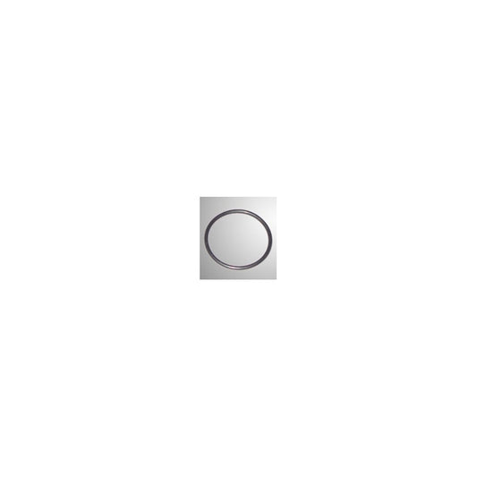 RK1 carburetor o-ring
