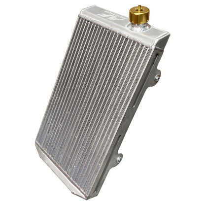 AF Radiator type 21 430x240x40 Gold incl. mounting