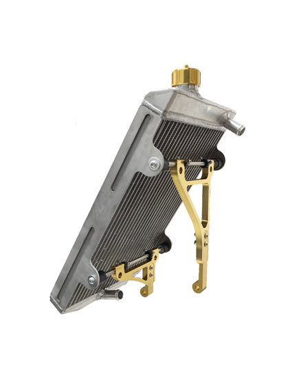 AF Radiator type 21 430x240x40 Gold incl. mounting