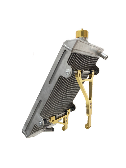AF Radiator type 21 430x240x40 Gold incl. mounting