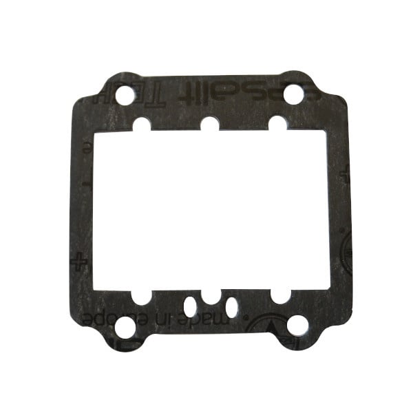 TM R2 Diaphragm gasket 1 MM