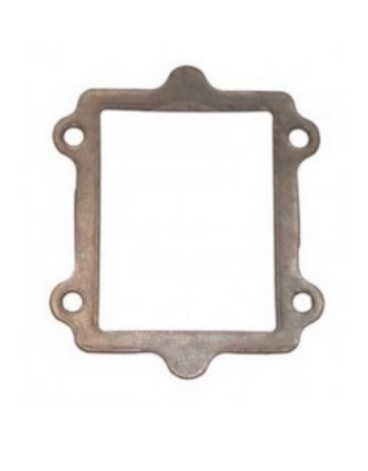 TM R1 / R2 Diaphragm gasket 1 MM