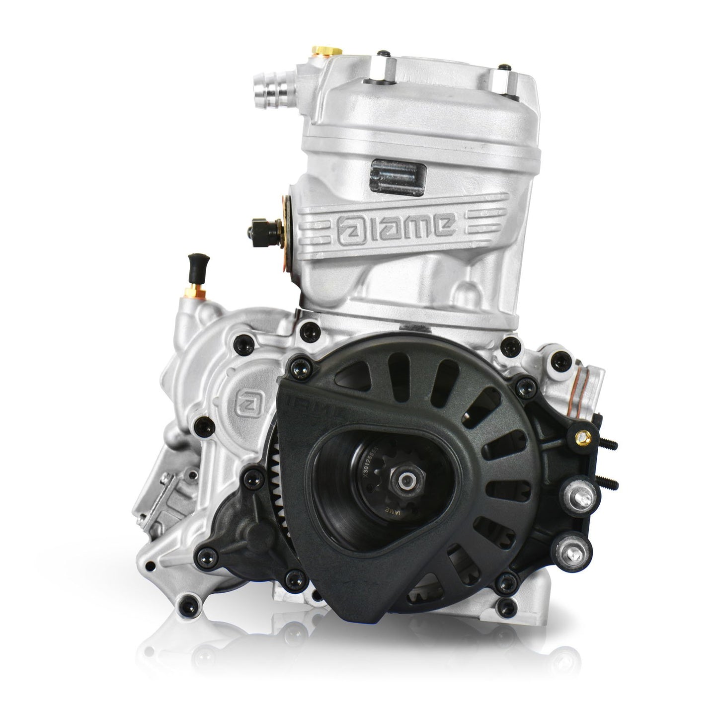 Iame X30 complete 125CC JUNIOR With IAME silencer